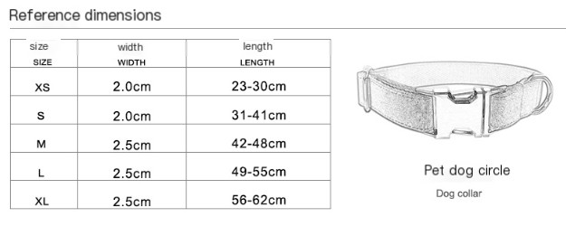 Alloy Buckle Traction Collar