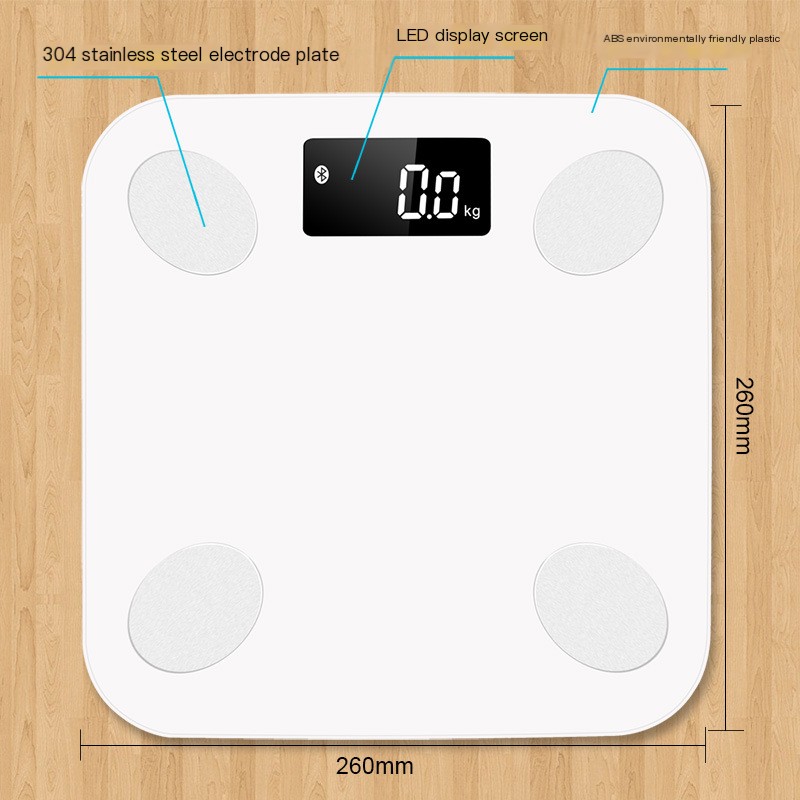 Body Fat Scale in Action