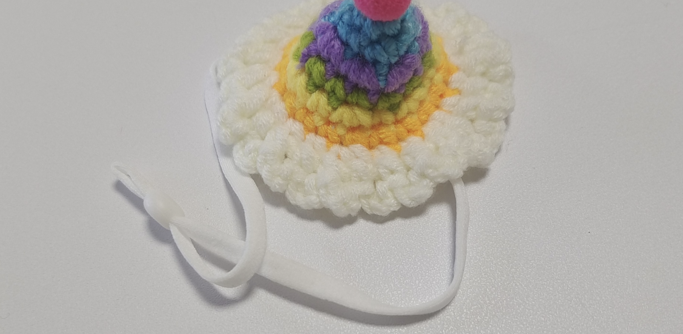 Pet Hat 3