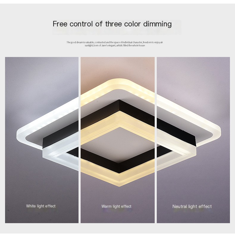Modern Ceiling Light 2