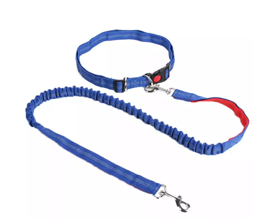 Pet Leash Set Image 2