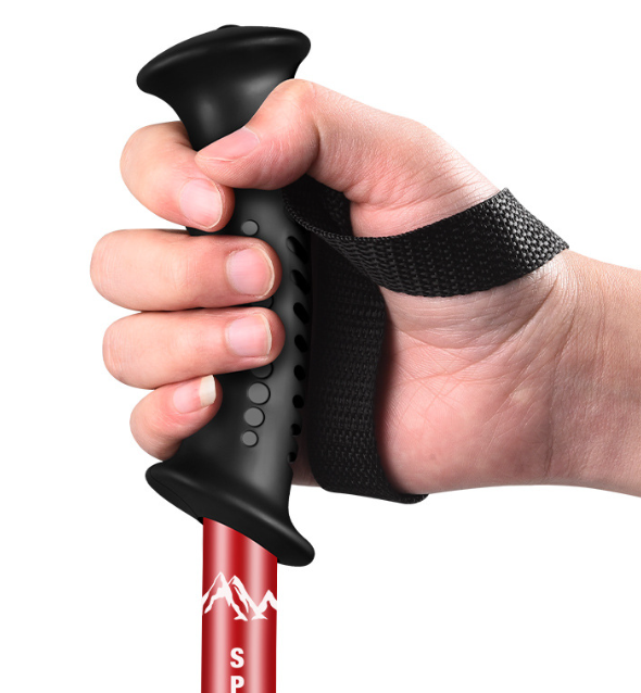 Trekking Pole Image 6