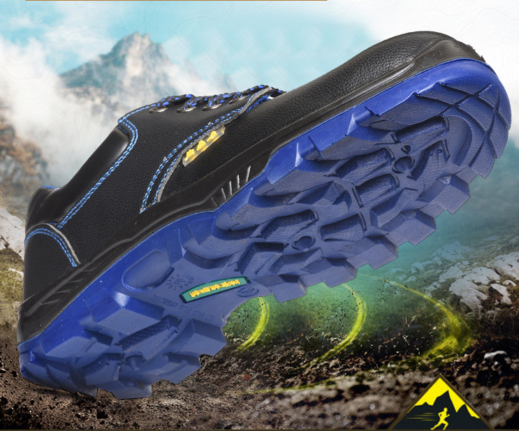 Safety Shoes Image 4