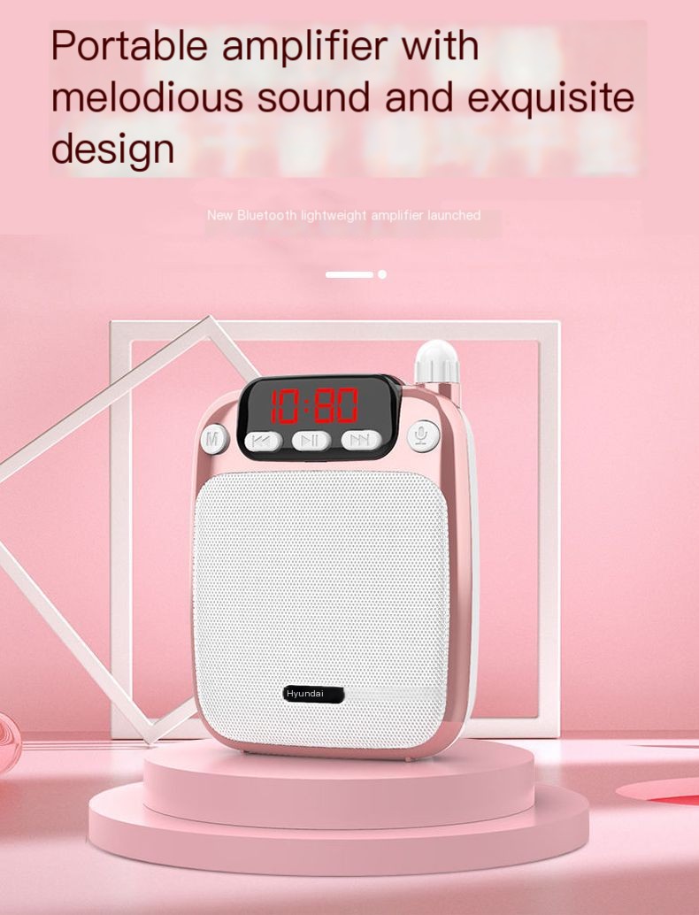 Bluetooth Portable Amplifier 2
