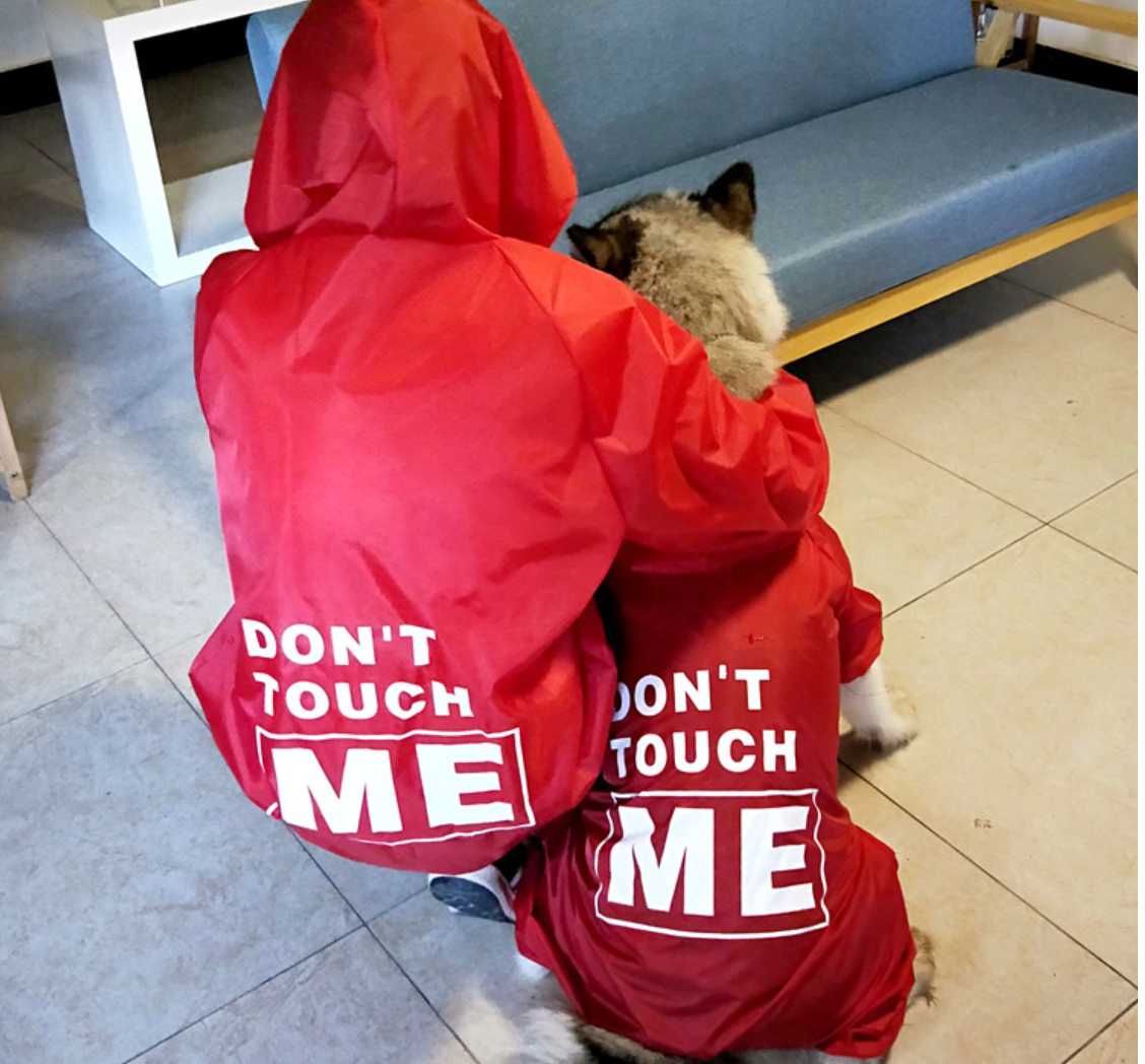 Dog in black raincoat