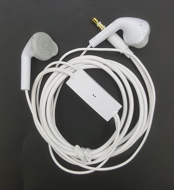 Plug-in Control Earbuds