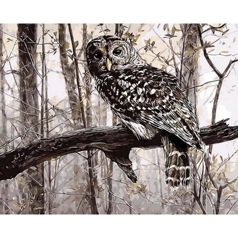 44/5000 The owl on the branch (painting by numbers kit) image