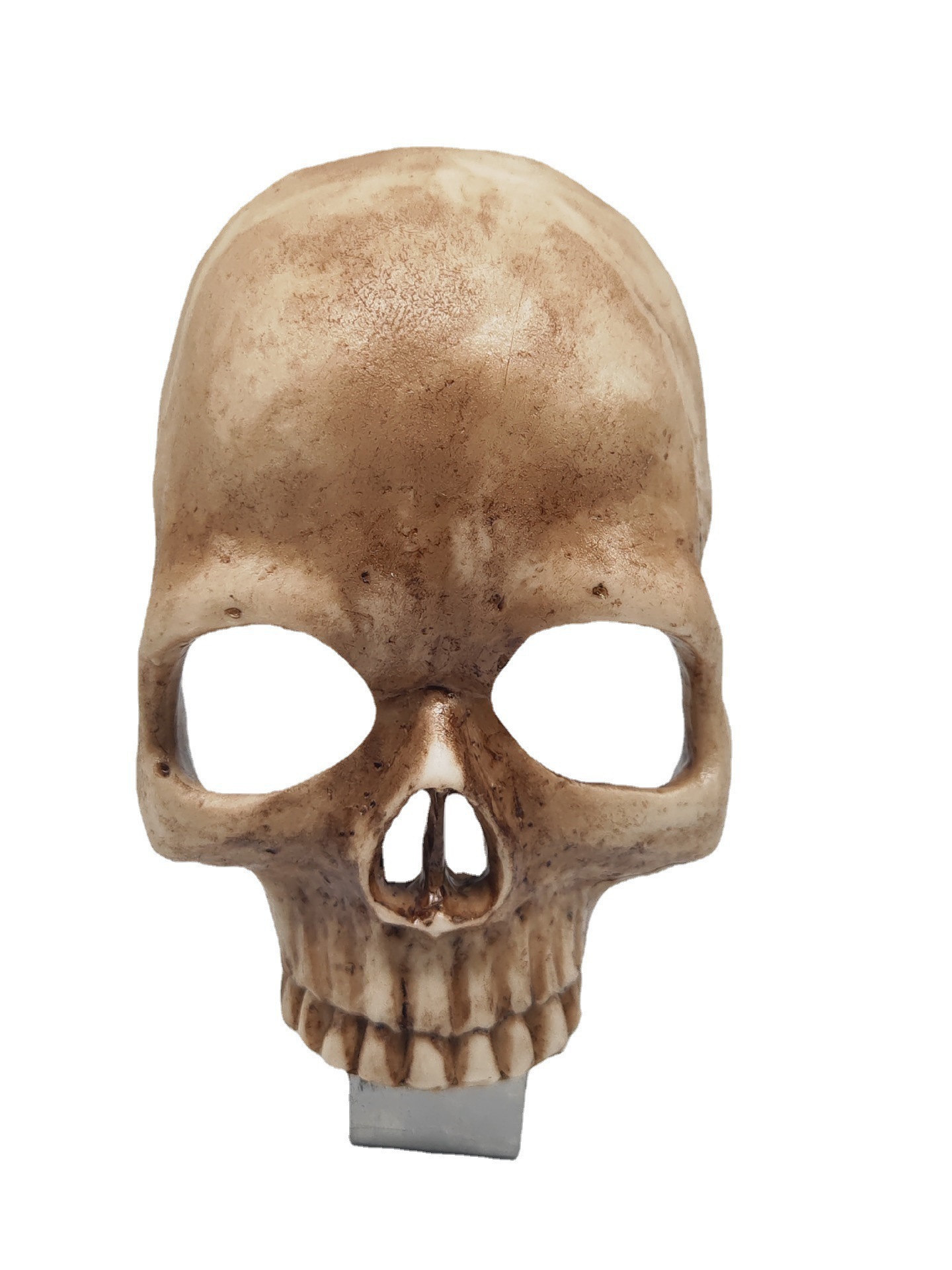 Unique Skull Lamp in Decor