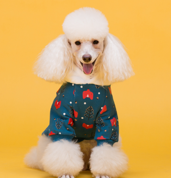 Cozy Dog Sweatshirt