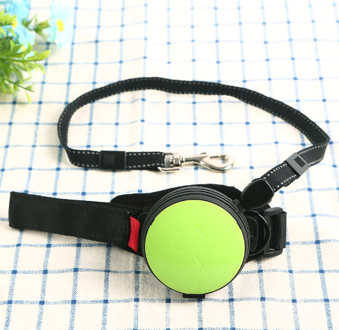 Pet Leash Image 2