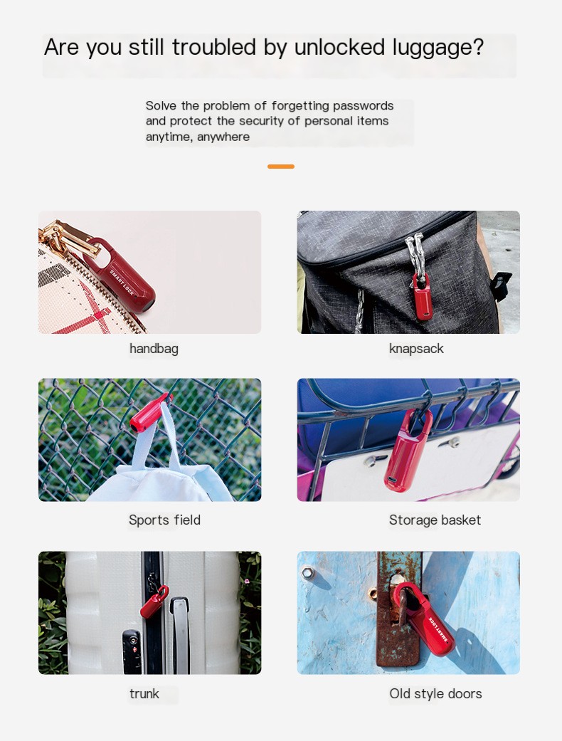 Fingerprint Padlock Image 2