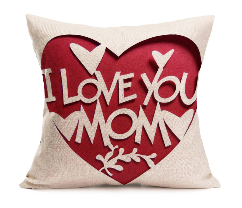 Cushion Cover Color 1