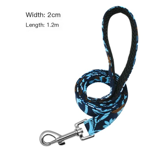 Collar and Leash Set in Use