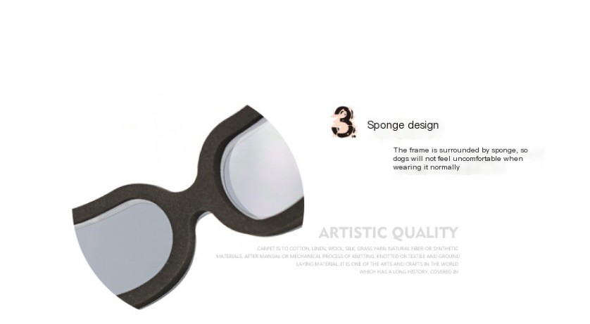 Stylish pet wearing sunglasses