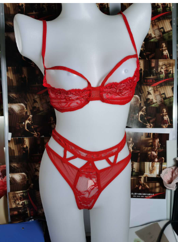 Lingerie Set Image 1