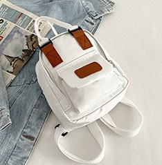 Canvas Mini Bag in White