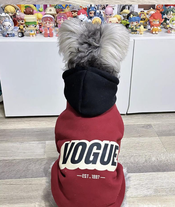 Teddy Bichon Small Dog Sweater Image 3