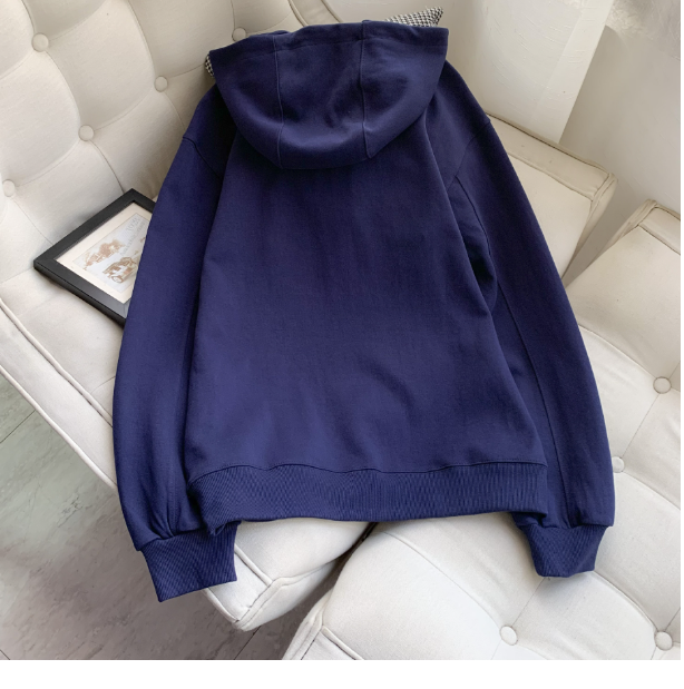 Hooded Sweatshirt Back