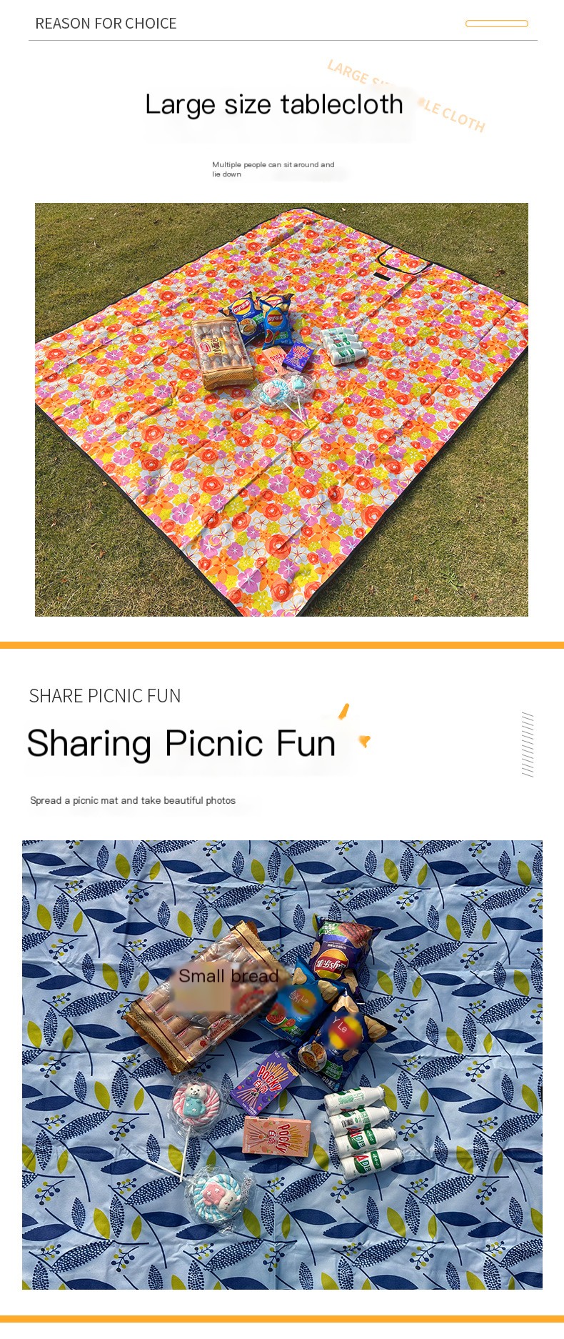 Picnic Mat 1
