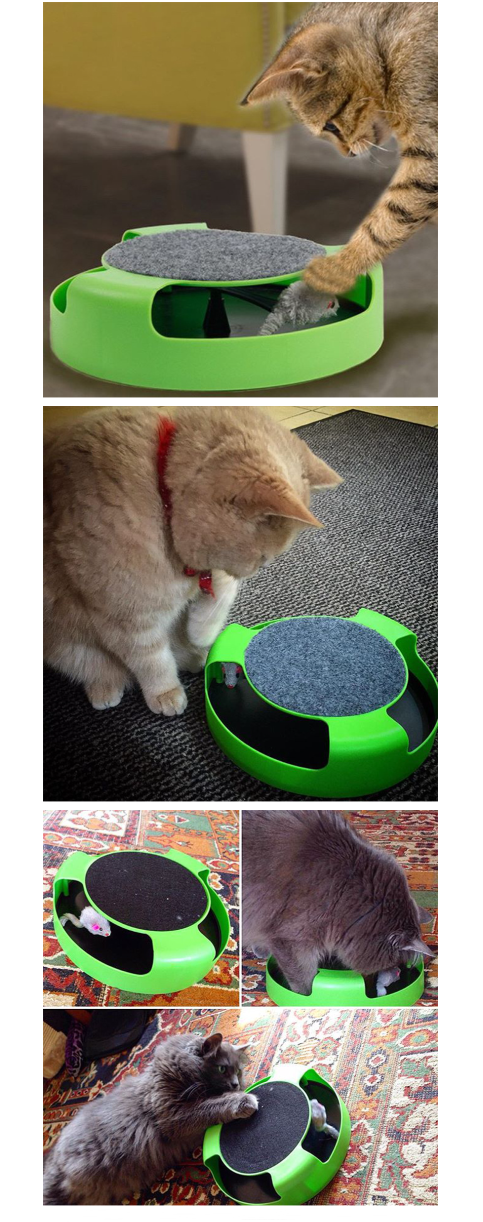 Cat Catch Toy