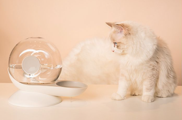Snail Cat Water Dispenser Image 2