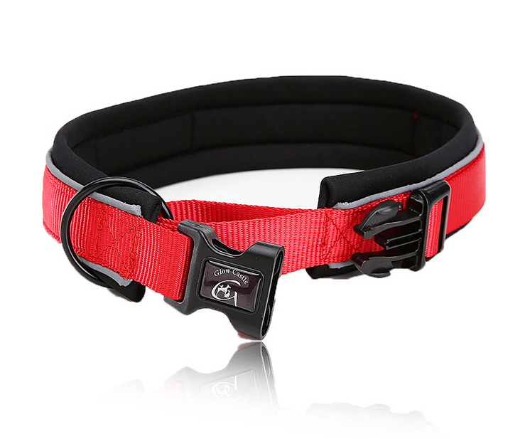 Diving Collar 4