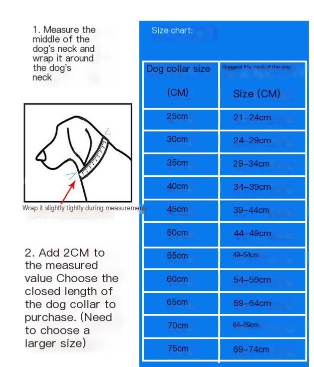 Gold Stainless Steel Chain Dog Collar