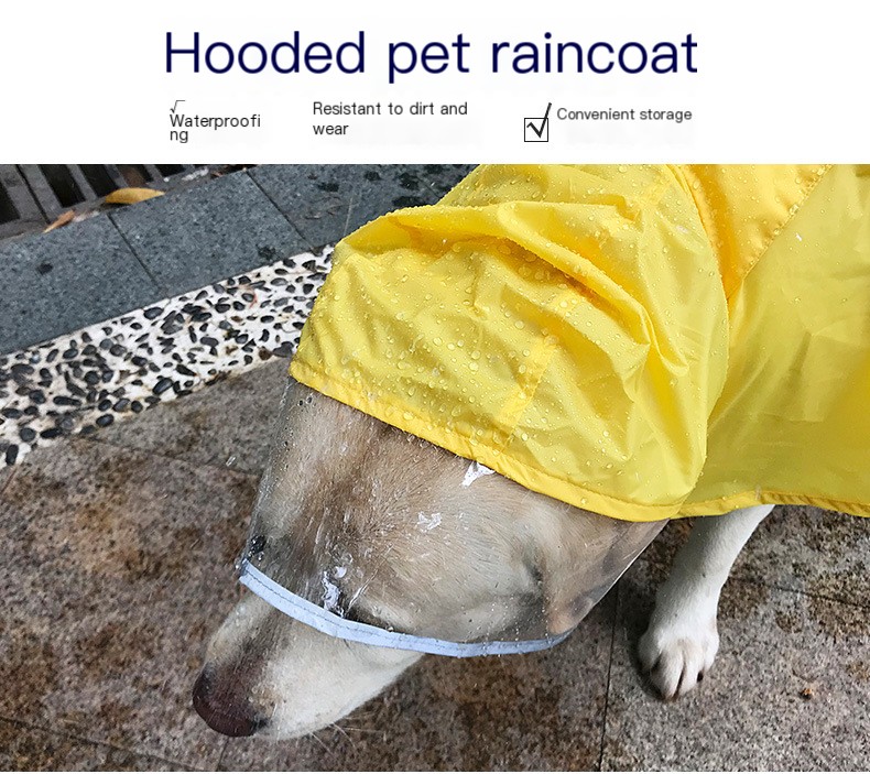 Large Dog Wearing Raincoat