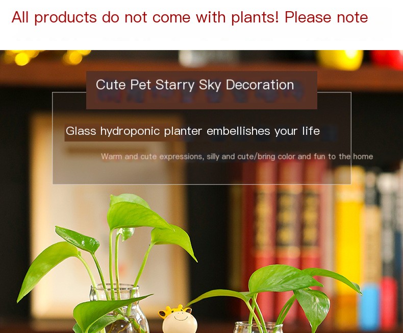 Hydroponic Flower Pot Image 1