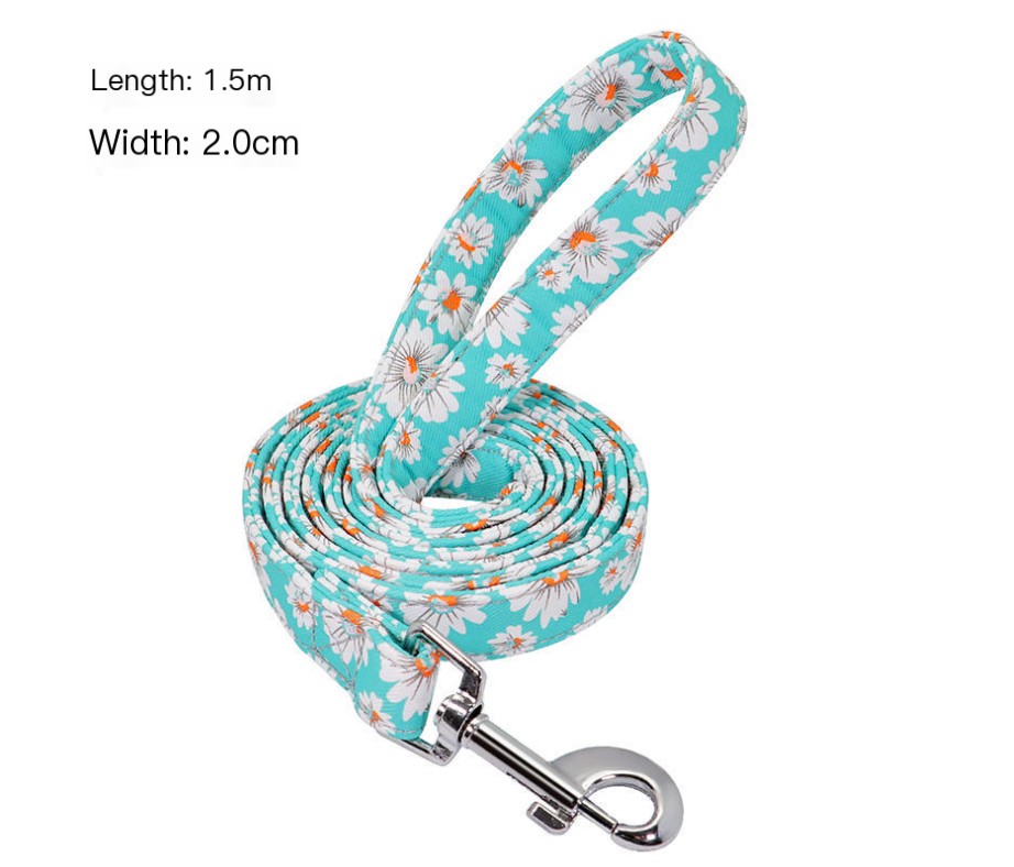 Dog Leash Image 2