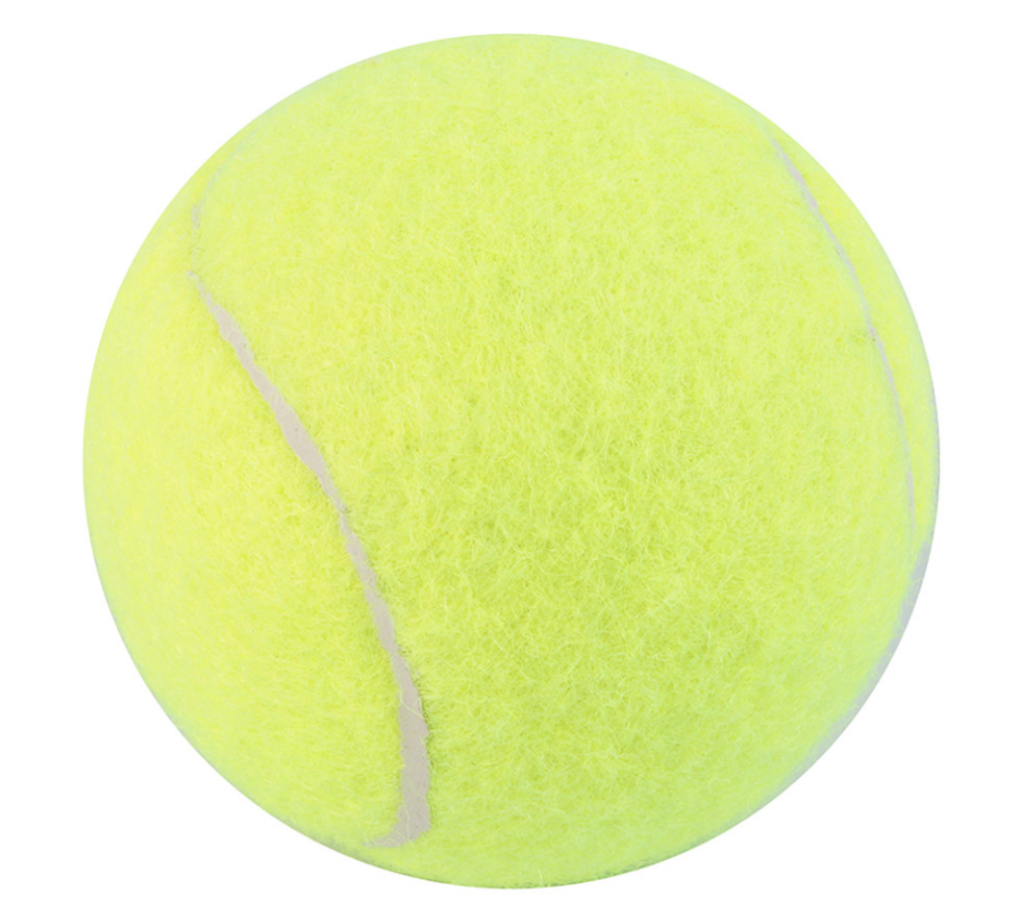Tennis Training Ball