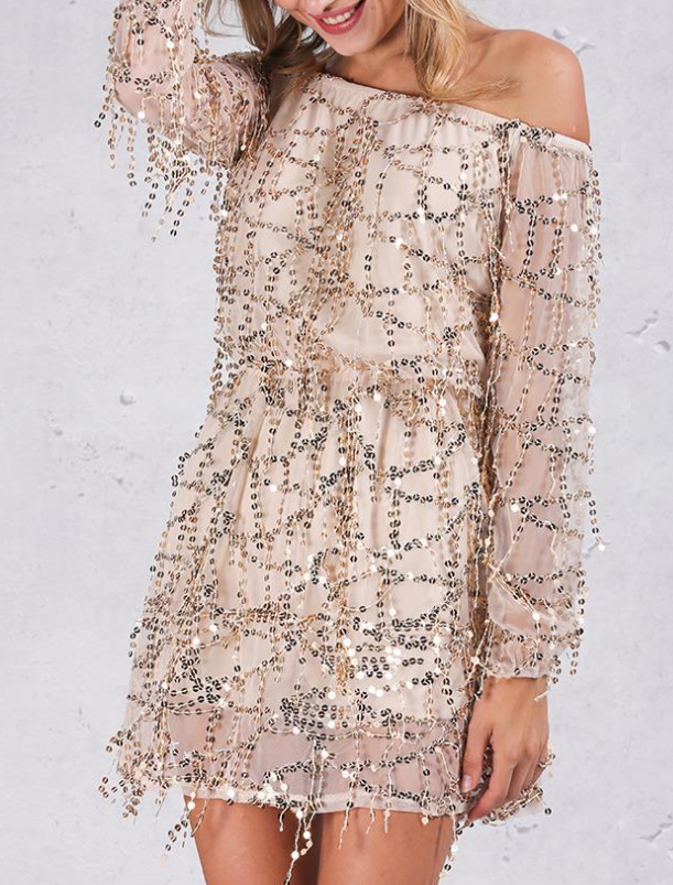 Sequined Dress 1