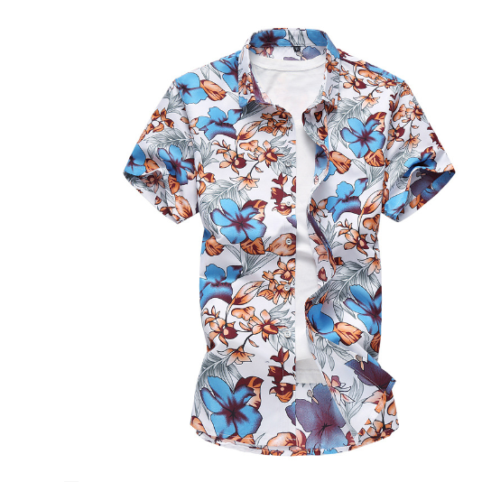 Short Sleeve Shirt 2