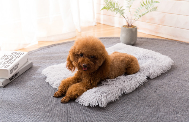 Plush Pet Bed 3