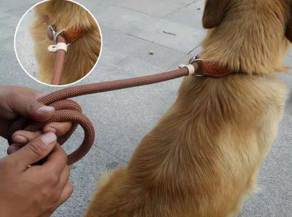 Chain Telescopic Traction Rope Dog Cover Image 3
