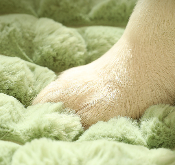Comfortable Thick Dog Bed for Pets - Washable Design High-Density Sponge Padding - product feature