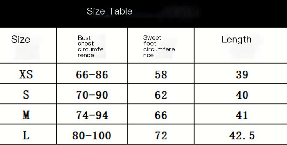 Women's Summer Mini Mesh Vest