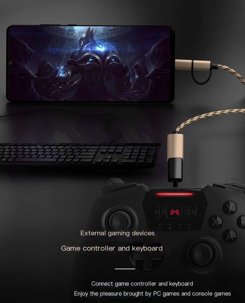 Type-C OTG Converter Image 8