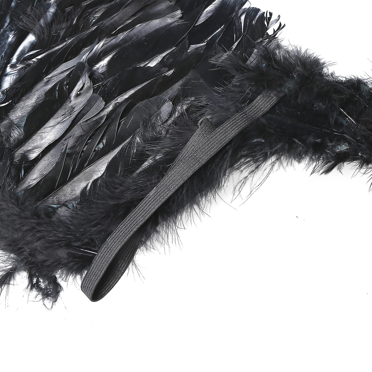 Black Feather Wings 1