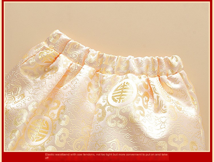 23 autumn new male baby one year old catch weekly birthday party 100 days dress Chinese Tang suit crown dress wholesale