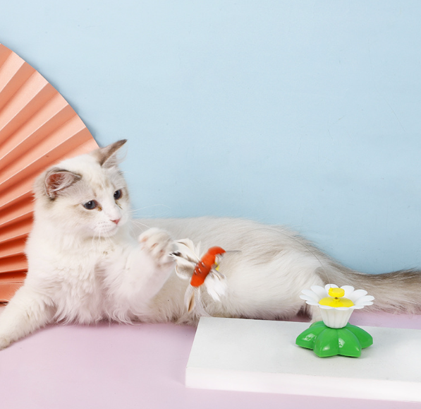 Electric Butterfly Flower Cat Teaser Image 4