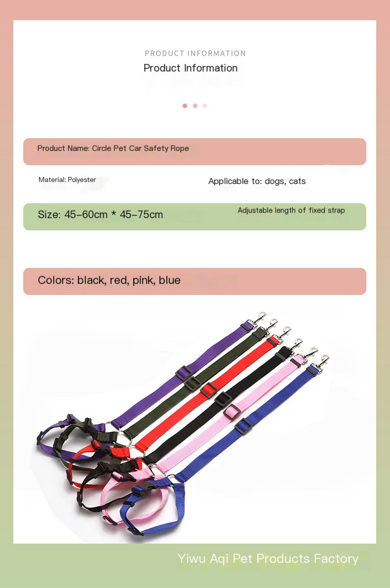 Car Safety Leash Image 1
