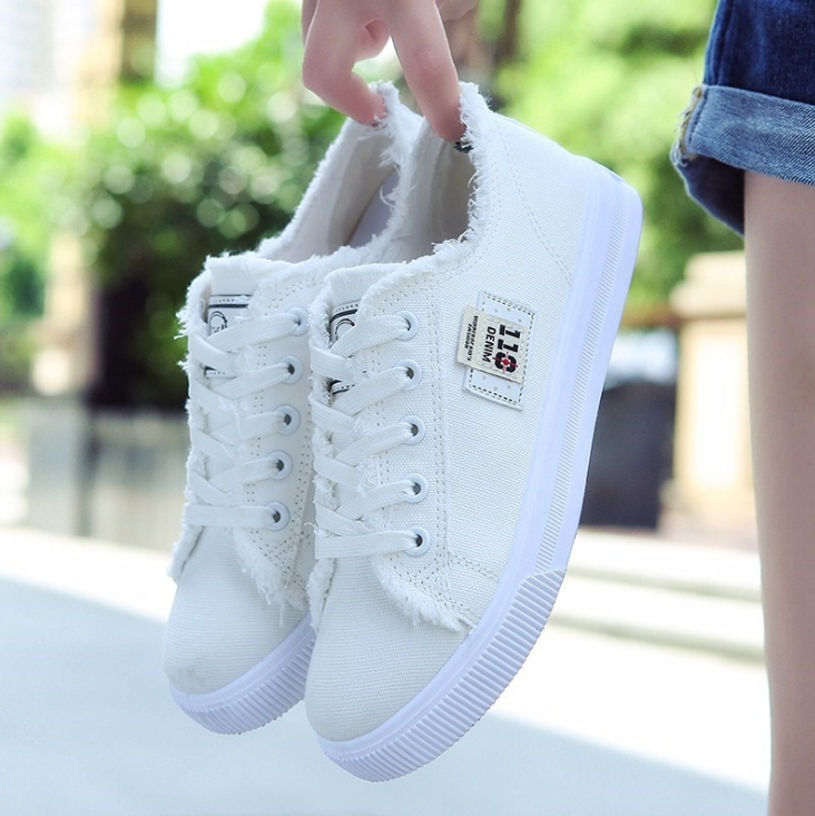 Stylish Canvas Shoes 2