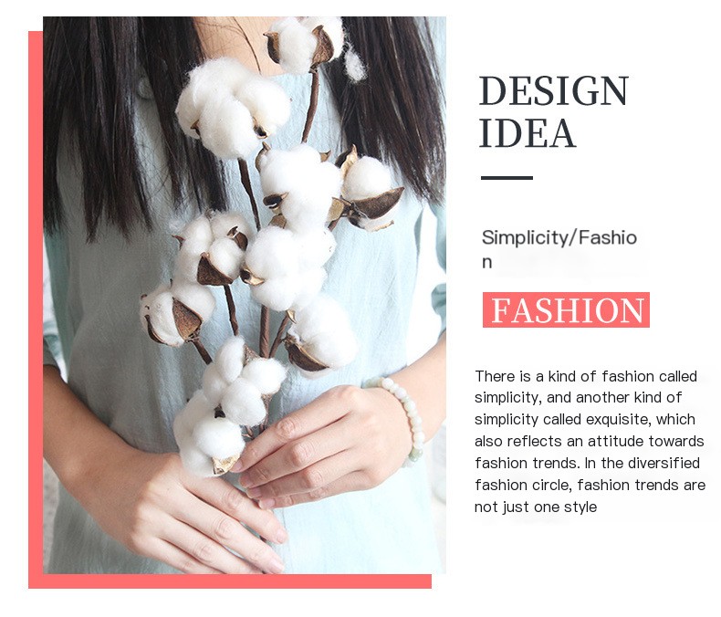 Cotton Dried Flower 5