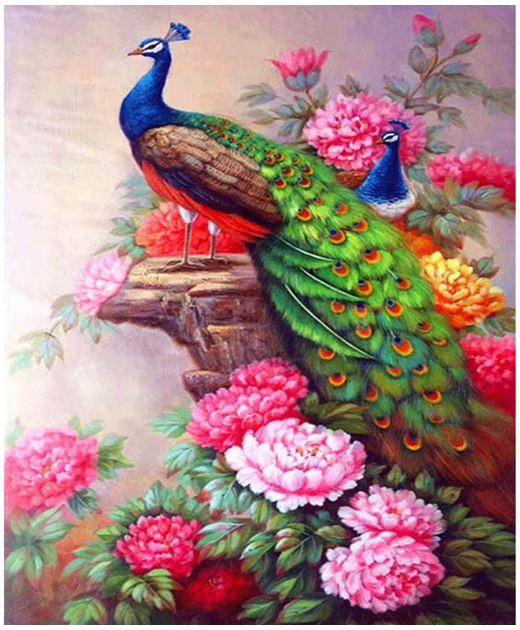 DIY Digital Oil Painting - Peacock Design