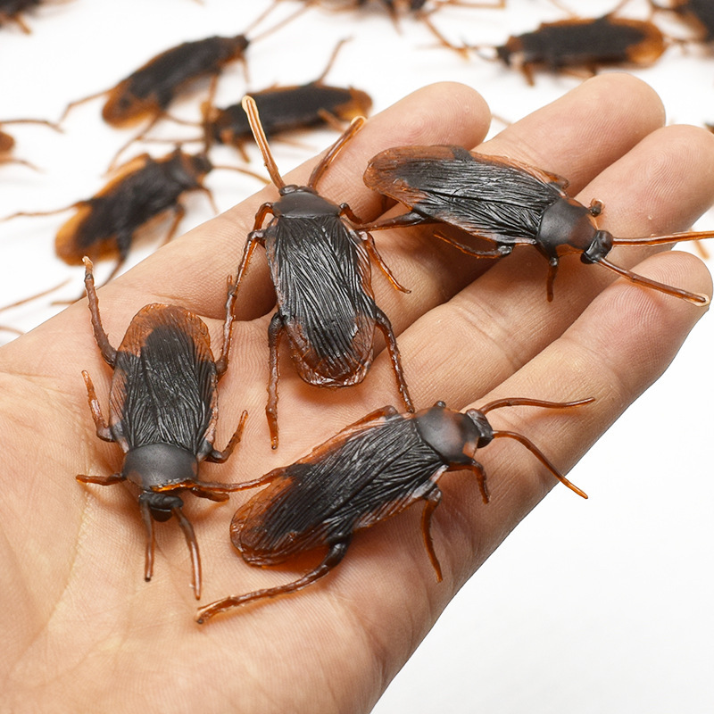 Realistic Cockroach Prop