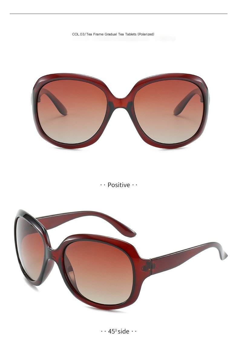 3113 Polarized Sunglasses 12