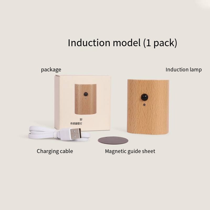 Induction LED Lamp Features