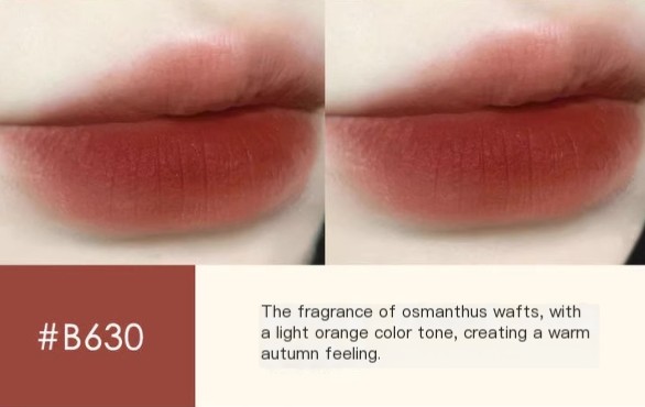 Chestnut Velvet Matte Liquid Lipstick
