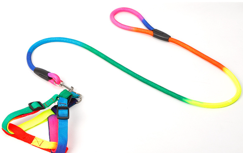 Colorful Pet Leash 3